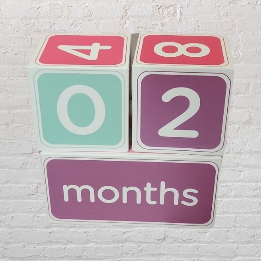 Milestone blocks, Baby and Childrens portrait. Props